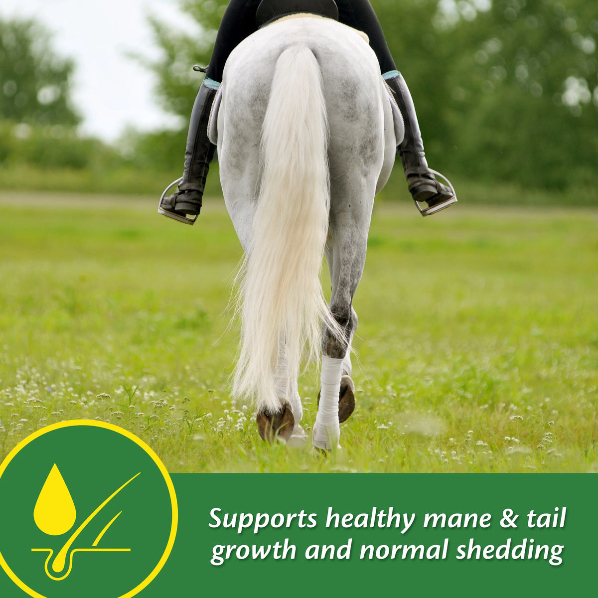 Horse Skin & Coat Supplement 5 Pound E97859