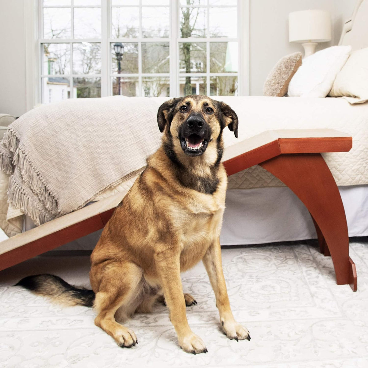 Wood Pet Ramp with Carpet Surface Q8076