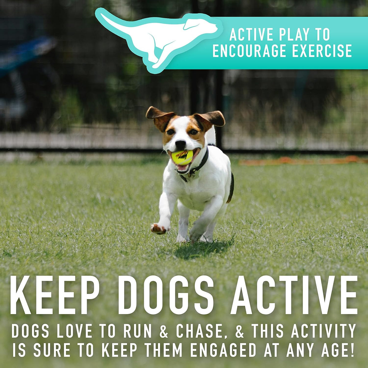 Mini Tennis Ball Launcher for Dogs J350