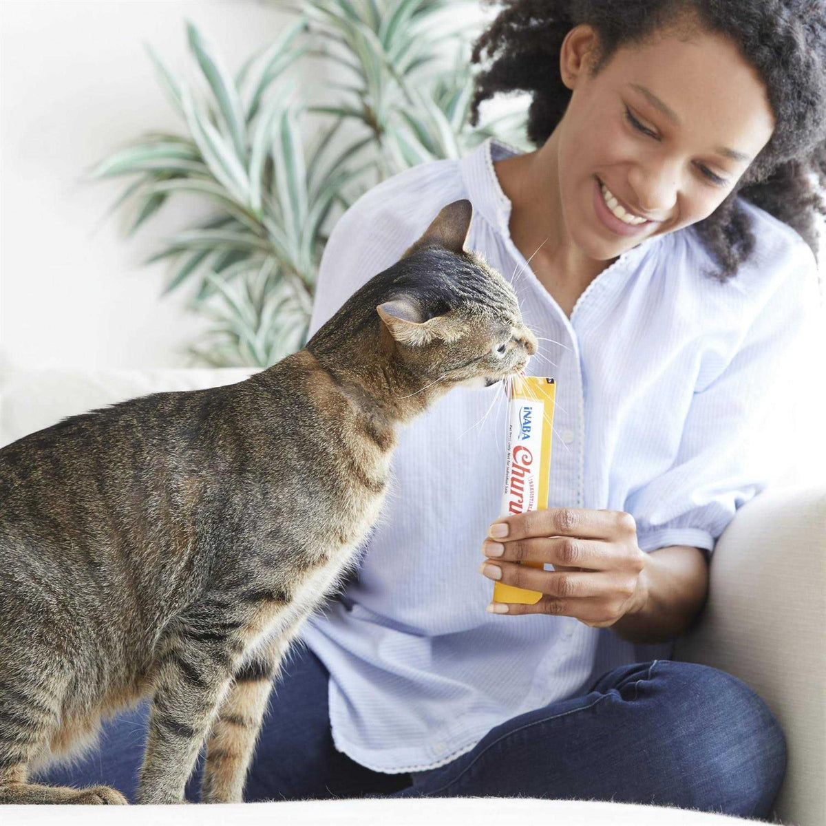 Tuna Seafood Cat Treats Variety Box X9351