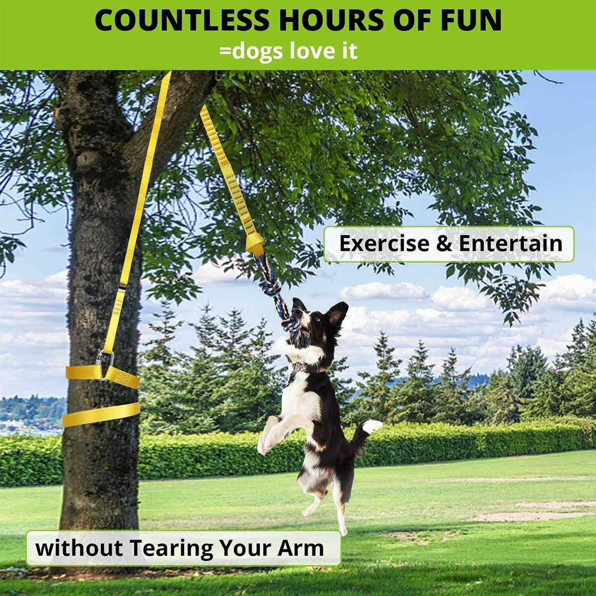 Dog Hanging Bungee Tug Toy Interactive Tether Tug-of-War I166193