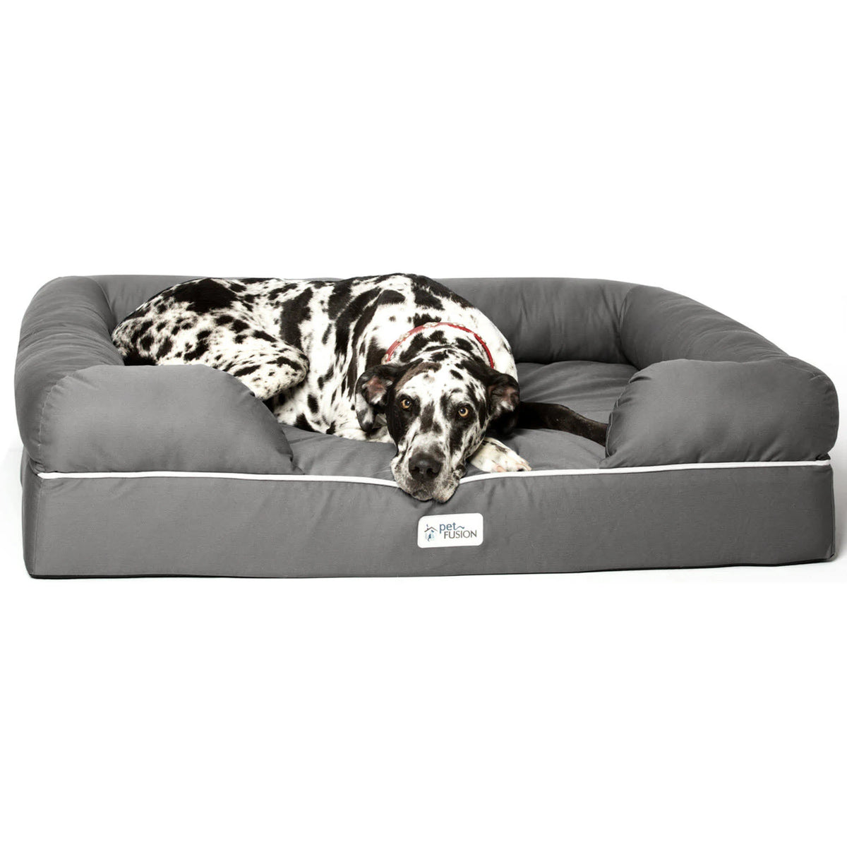 Solid Memory Foam Dog & Cat Bed, Gray, Jumbo I3737