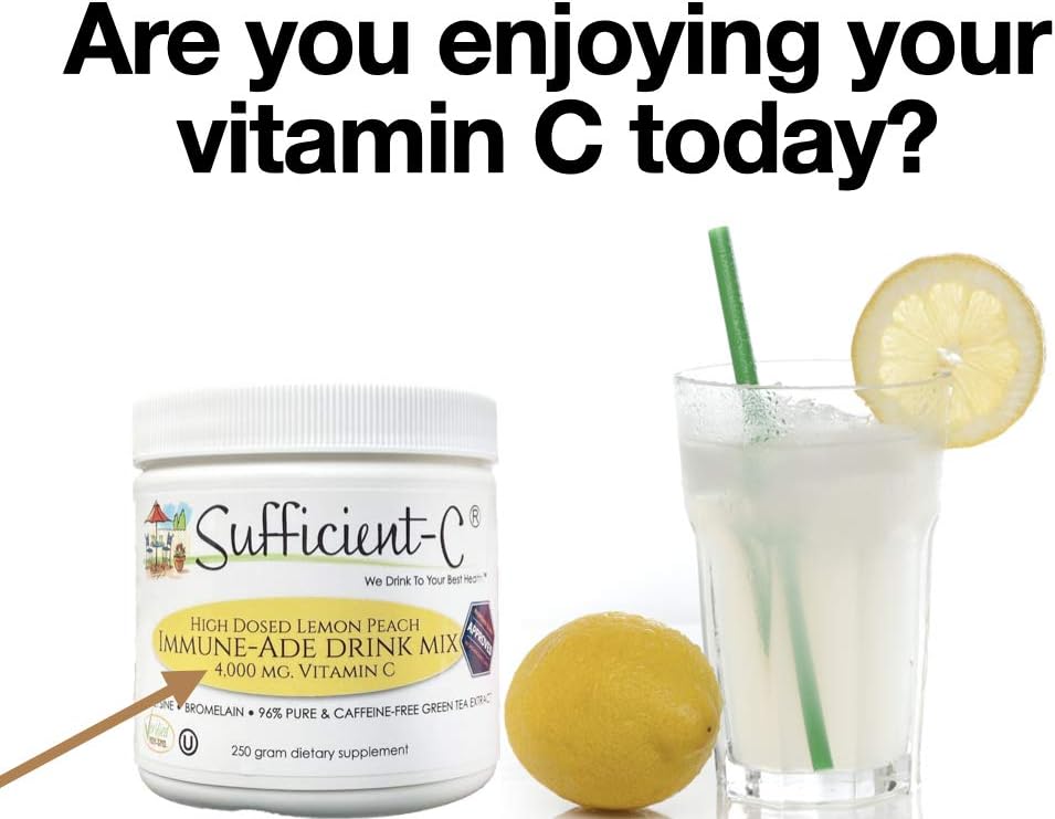 4000 mg Non-GMO Vitamin C Drink Mix 250 Gram V132937