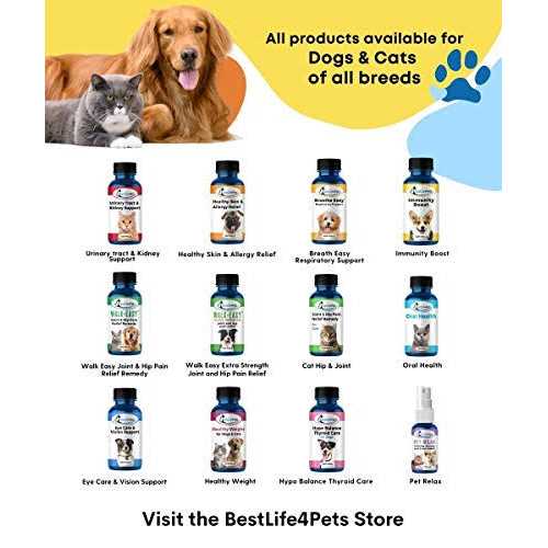 Holistic Ear Infection Treatment for Dogs and Cats U556