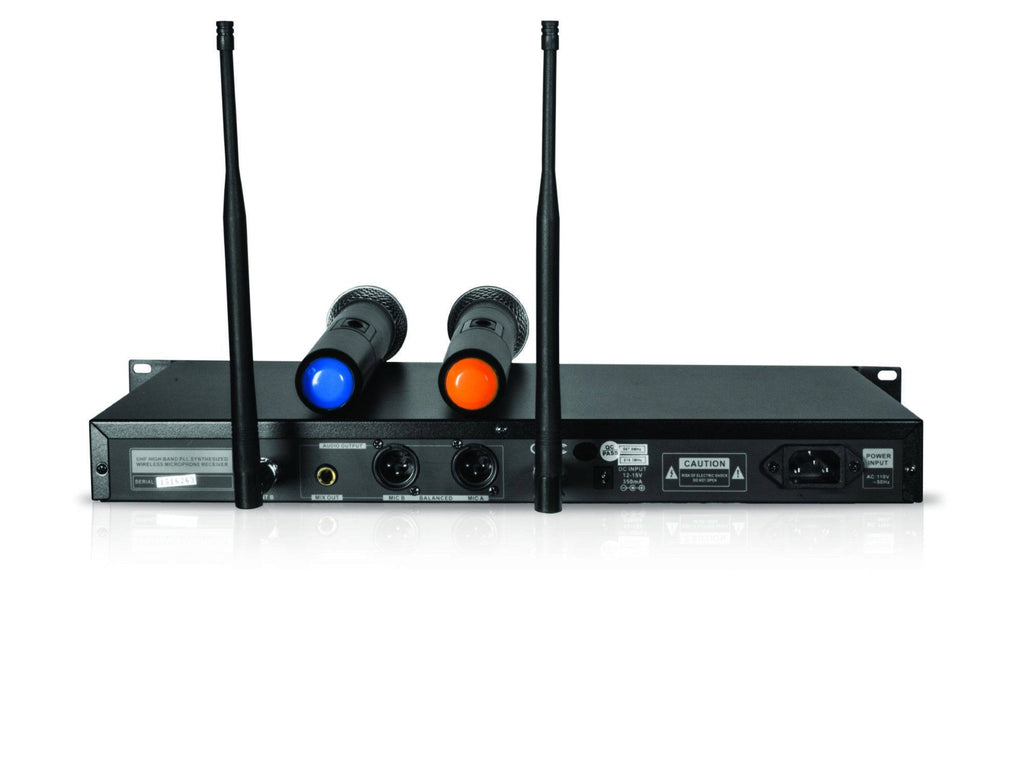 UHF Dual Wireless Microphone System G9428