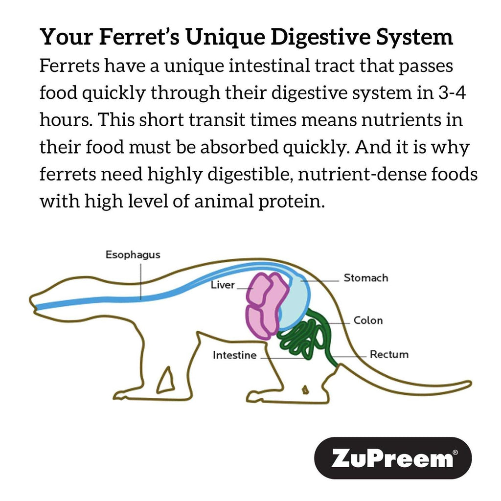 Premium Ferret Diet S971816