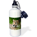 21oz Sports Water Bottle U750789
