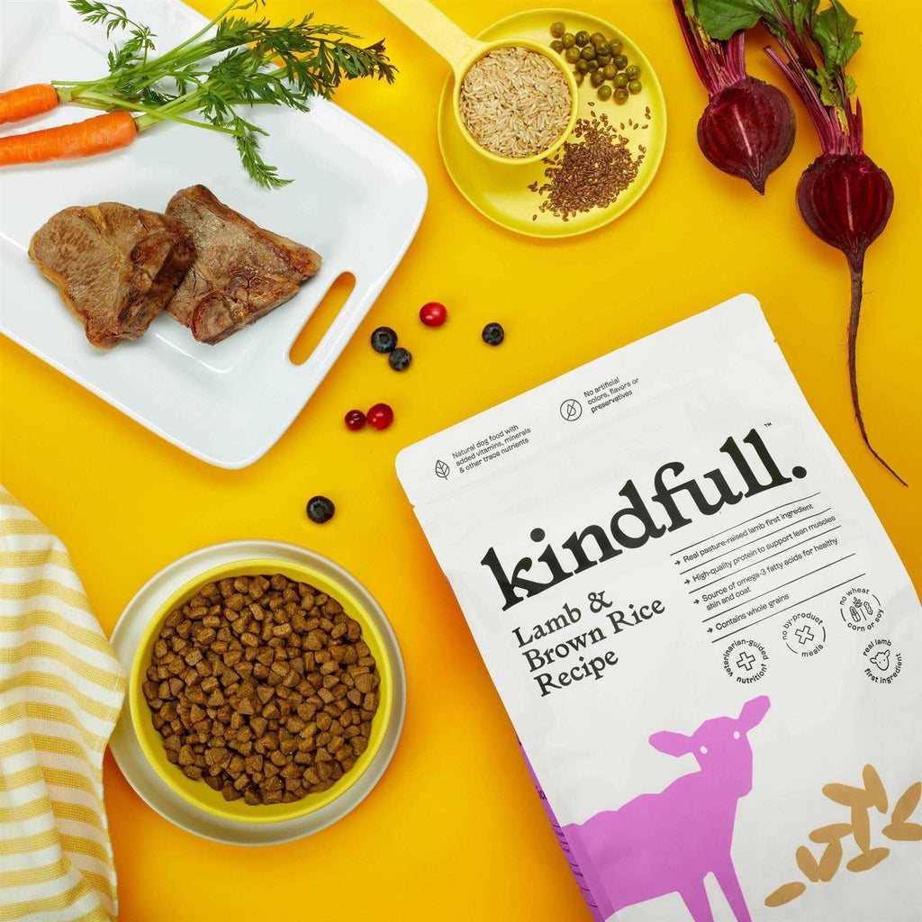 Lamb & Brown Rice Recipe Dry Dog Food Z1606