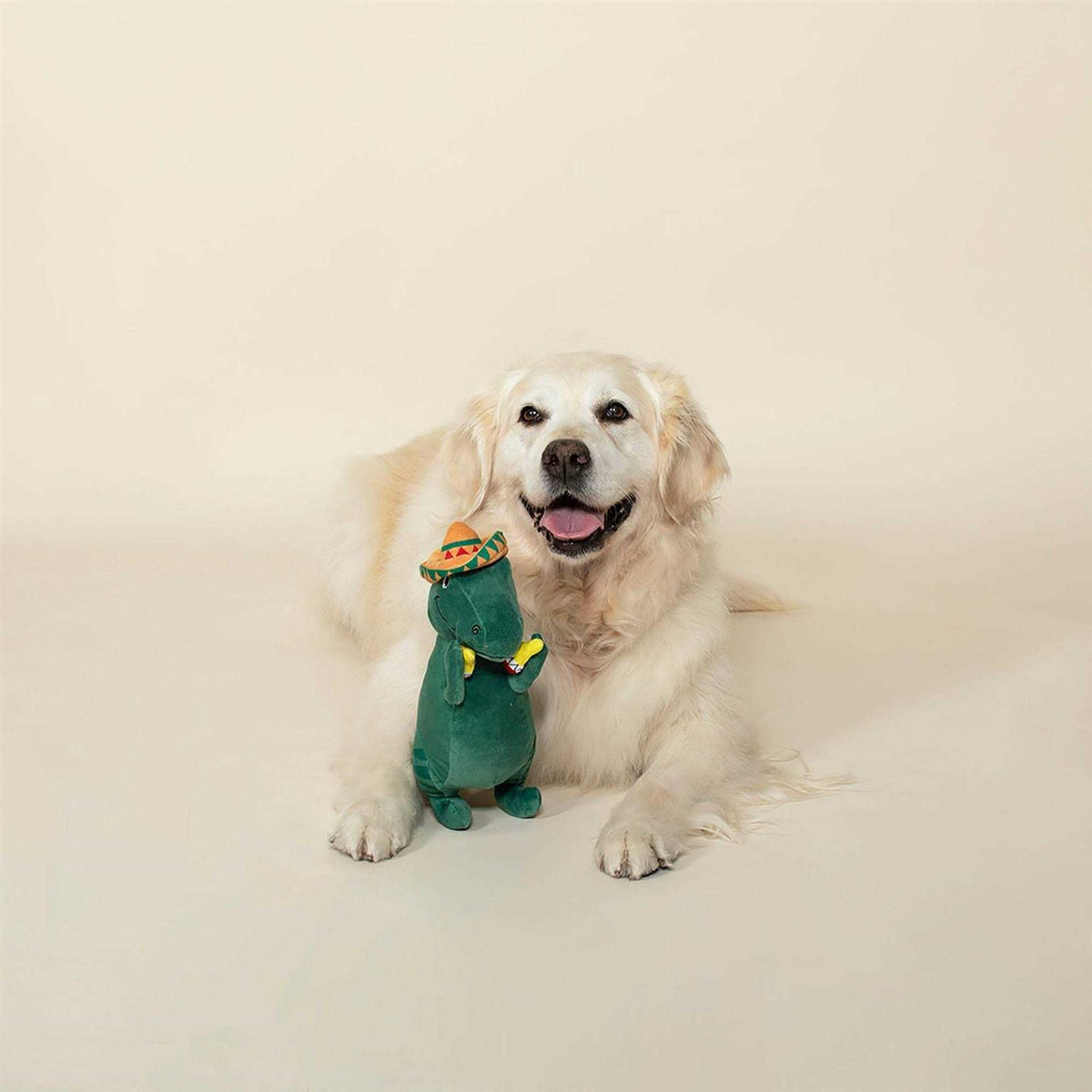 Dog Toy Q25039