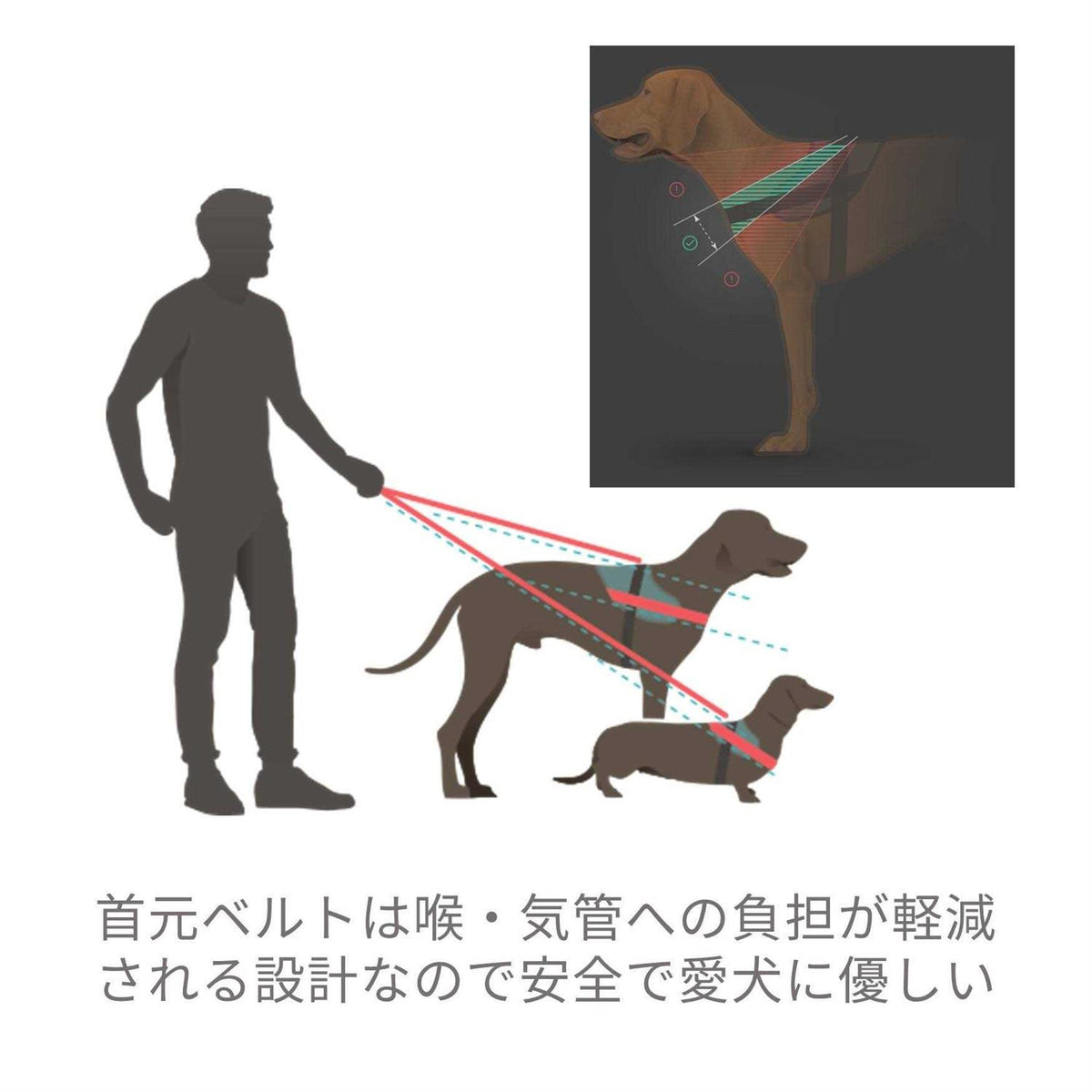 Powerharness C529