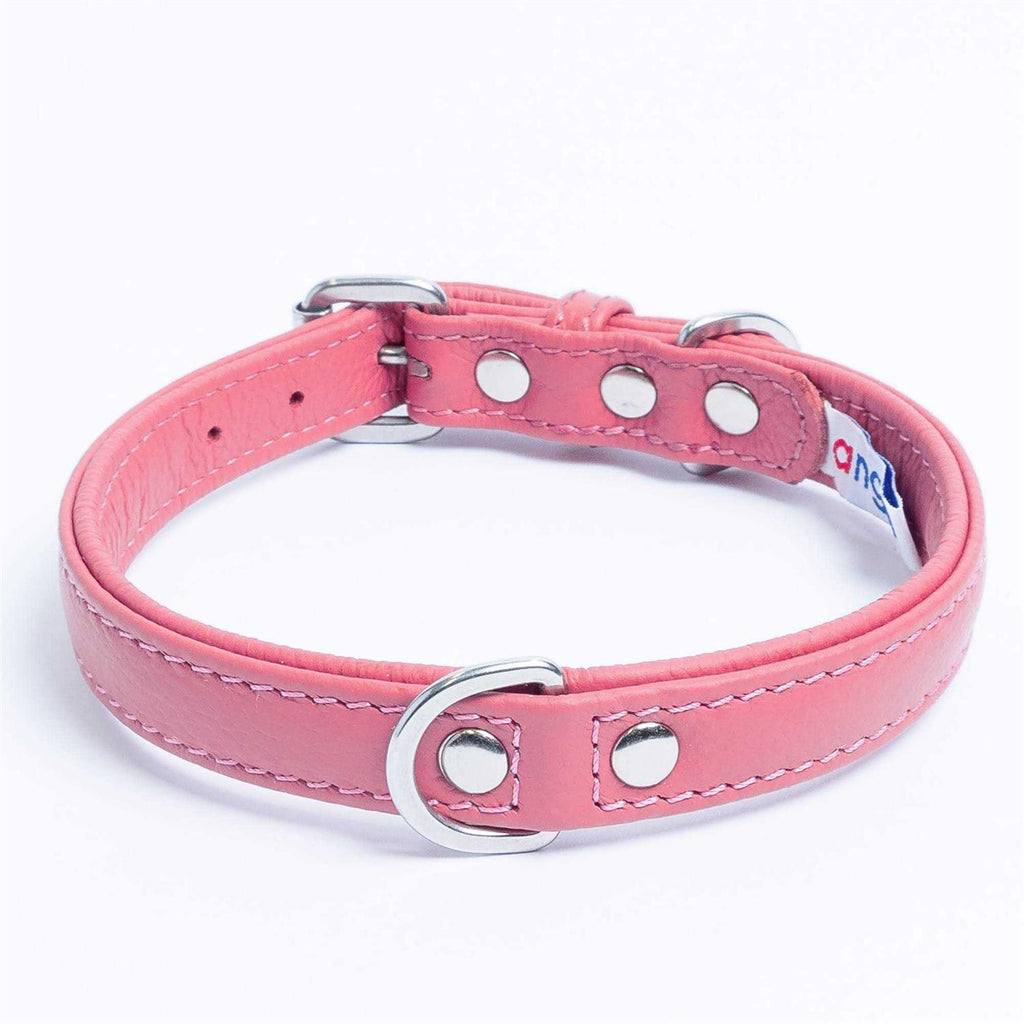 Dog Collar R452905