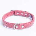 Dog Collar R452905