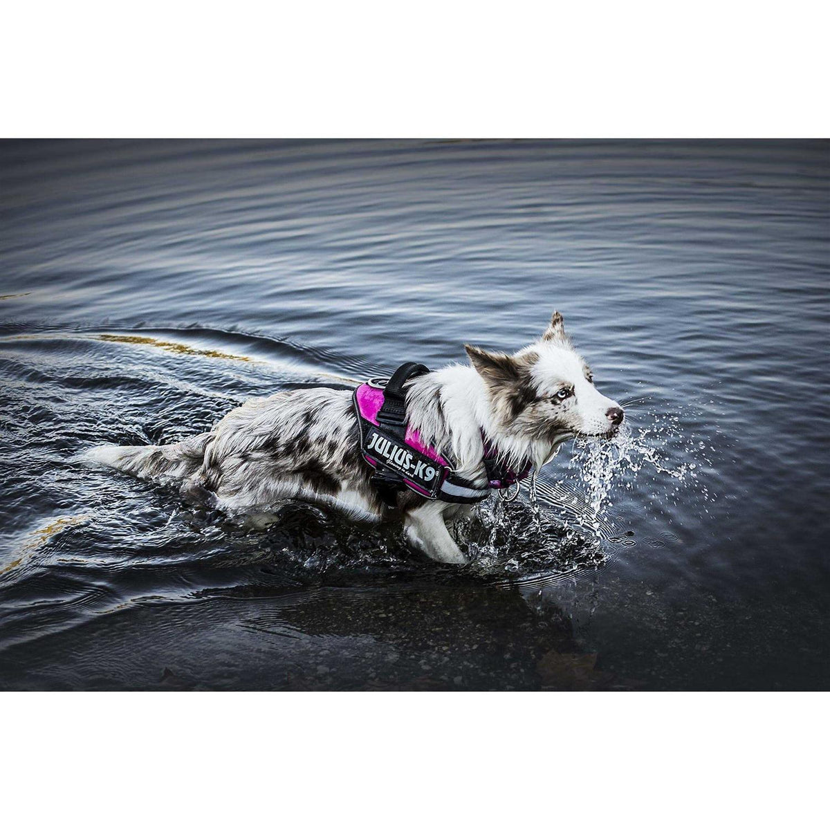 Powerharness L855