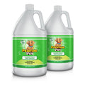 Pet Stain & Odor Remover Gallon Bottle 2-Pack T2221