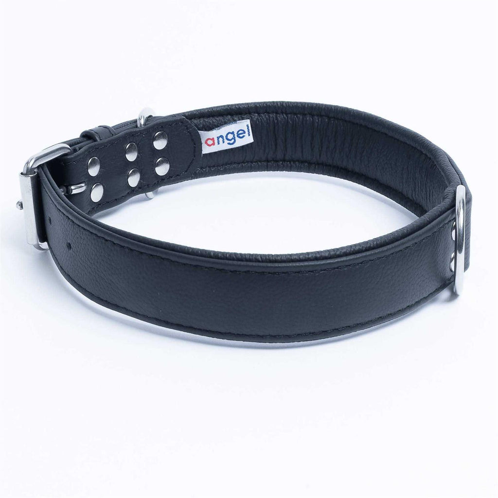Dog Collar R452905