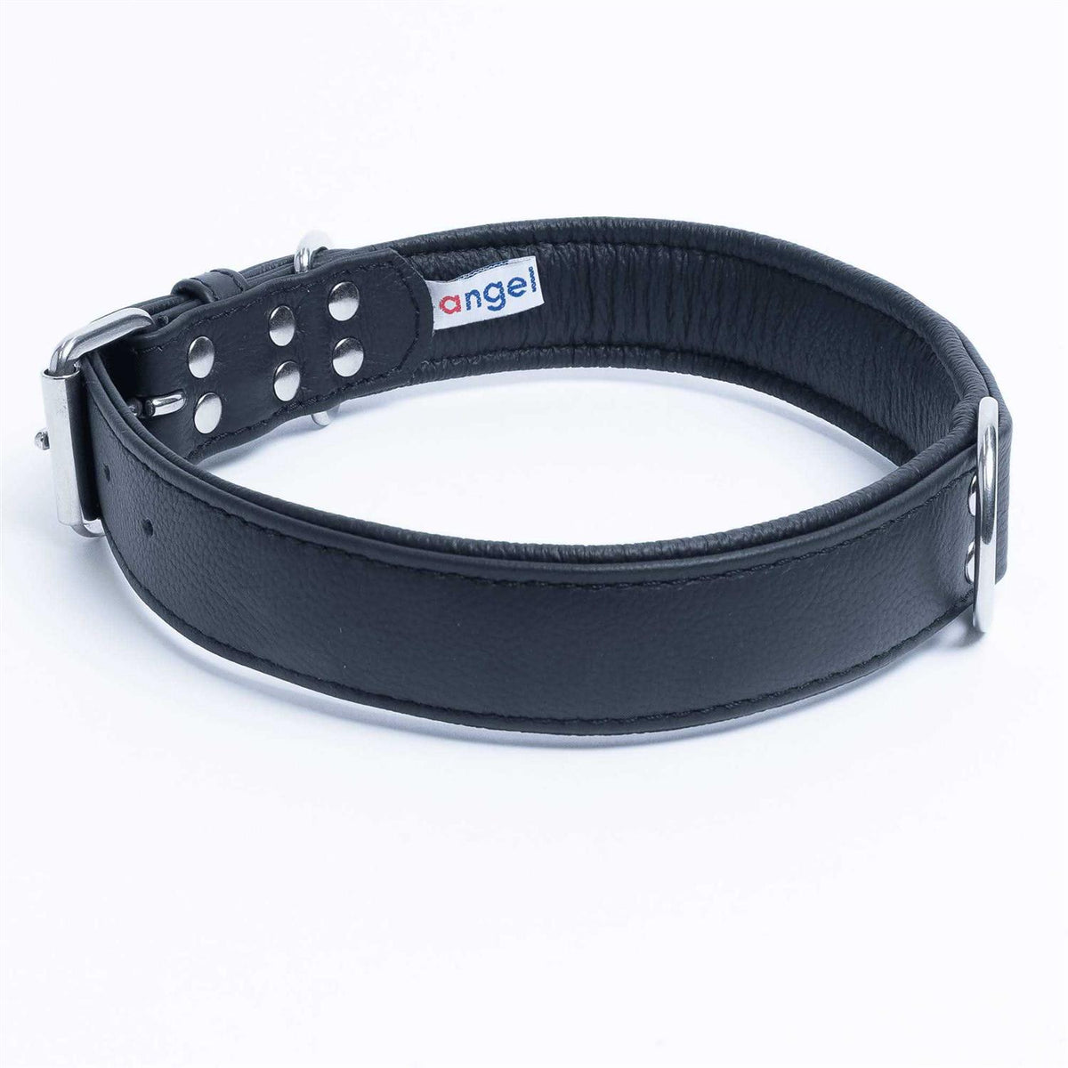 Dog Collar R452905