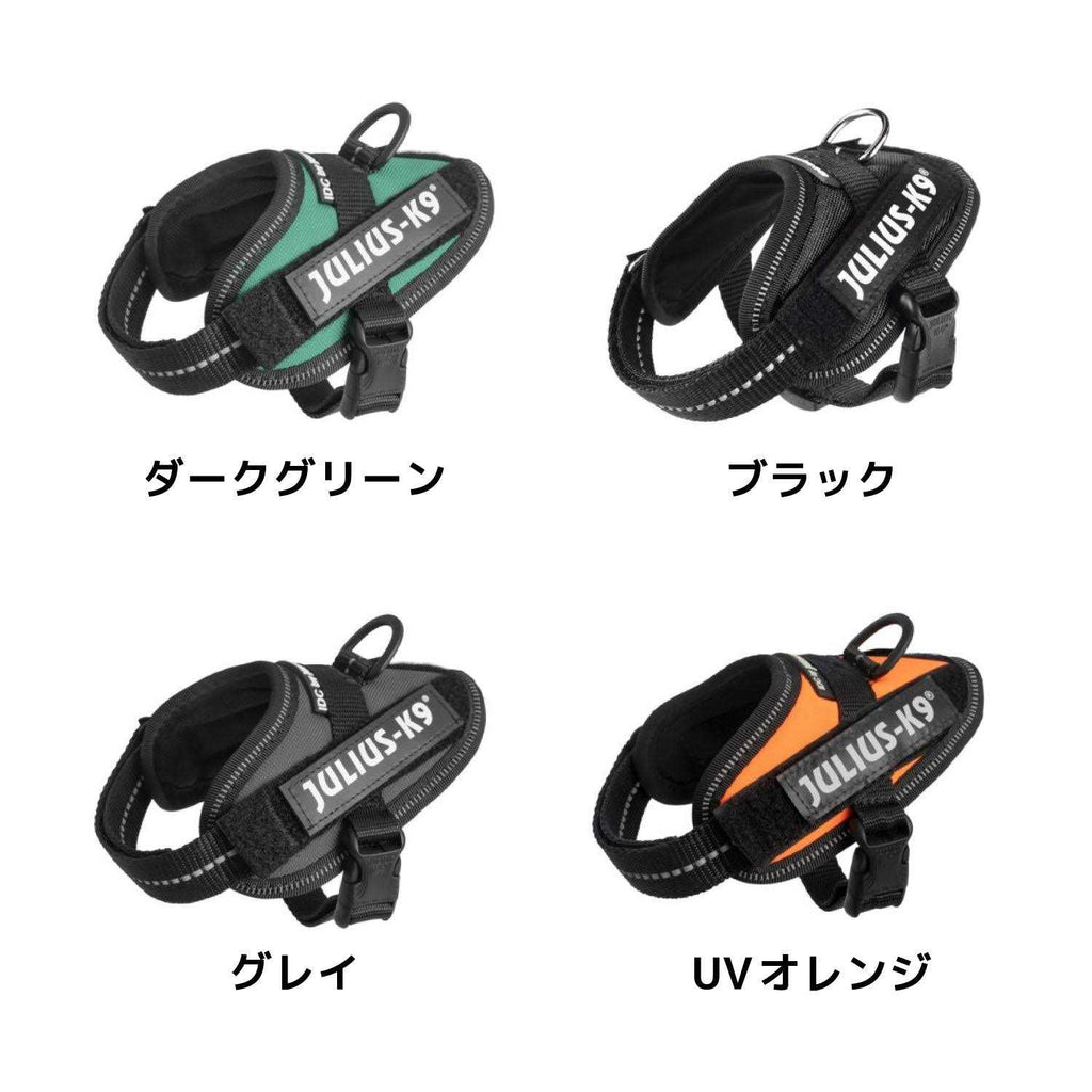 Powerharness C529