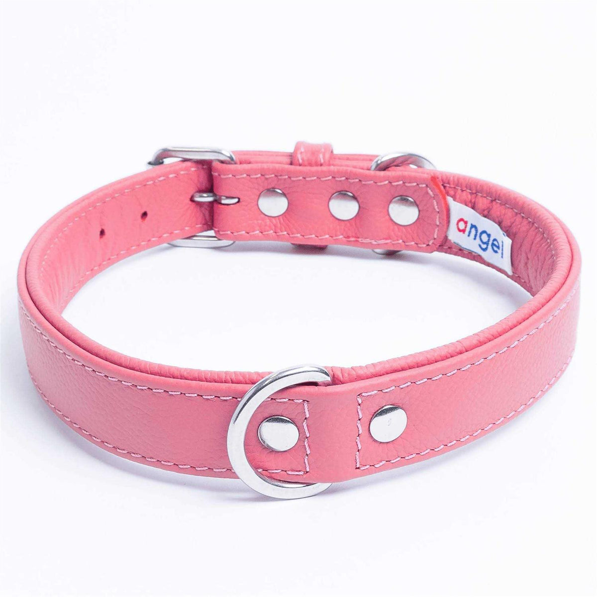 Dog Collar R452905