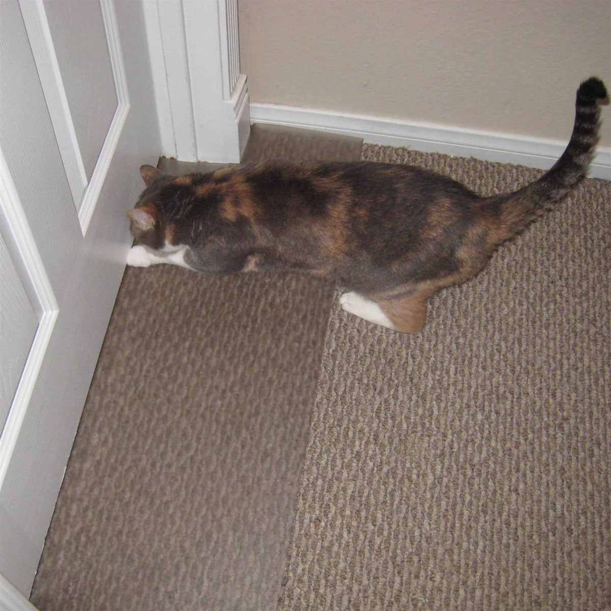 Carpet Scratch Stopper C143560