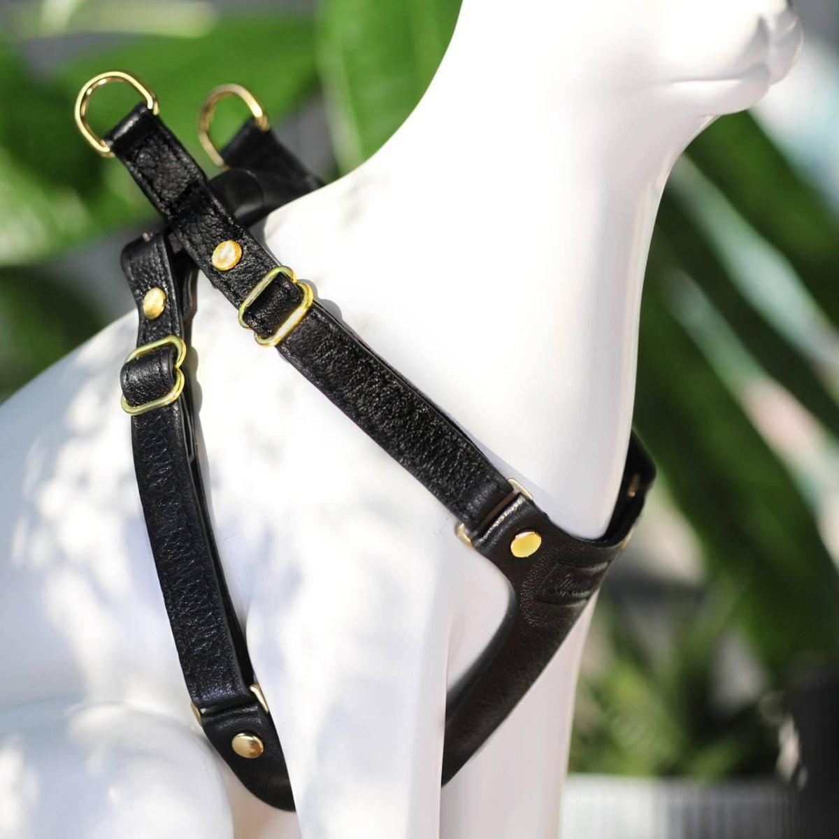Leather Adjustable Cat Harness I92449