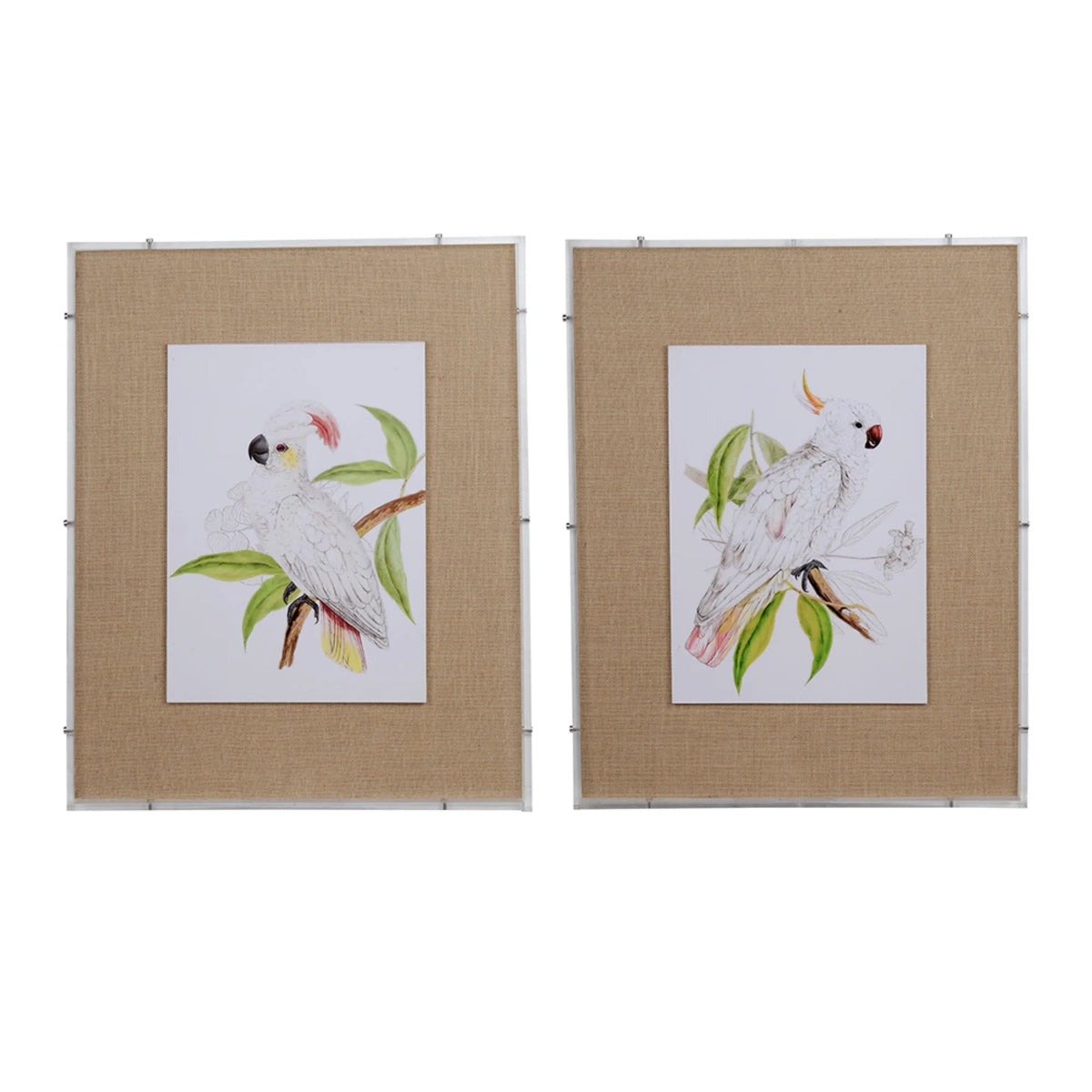 Watercolor Framed Wall Art 30" x 24" Brown and White 2ct M181