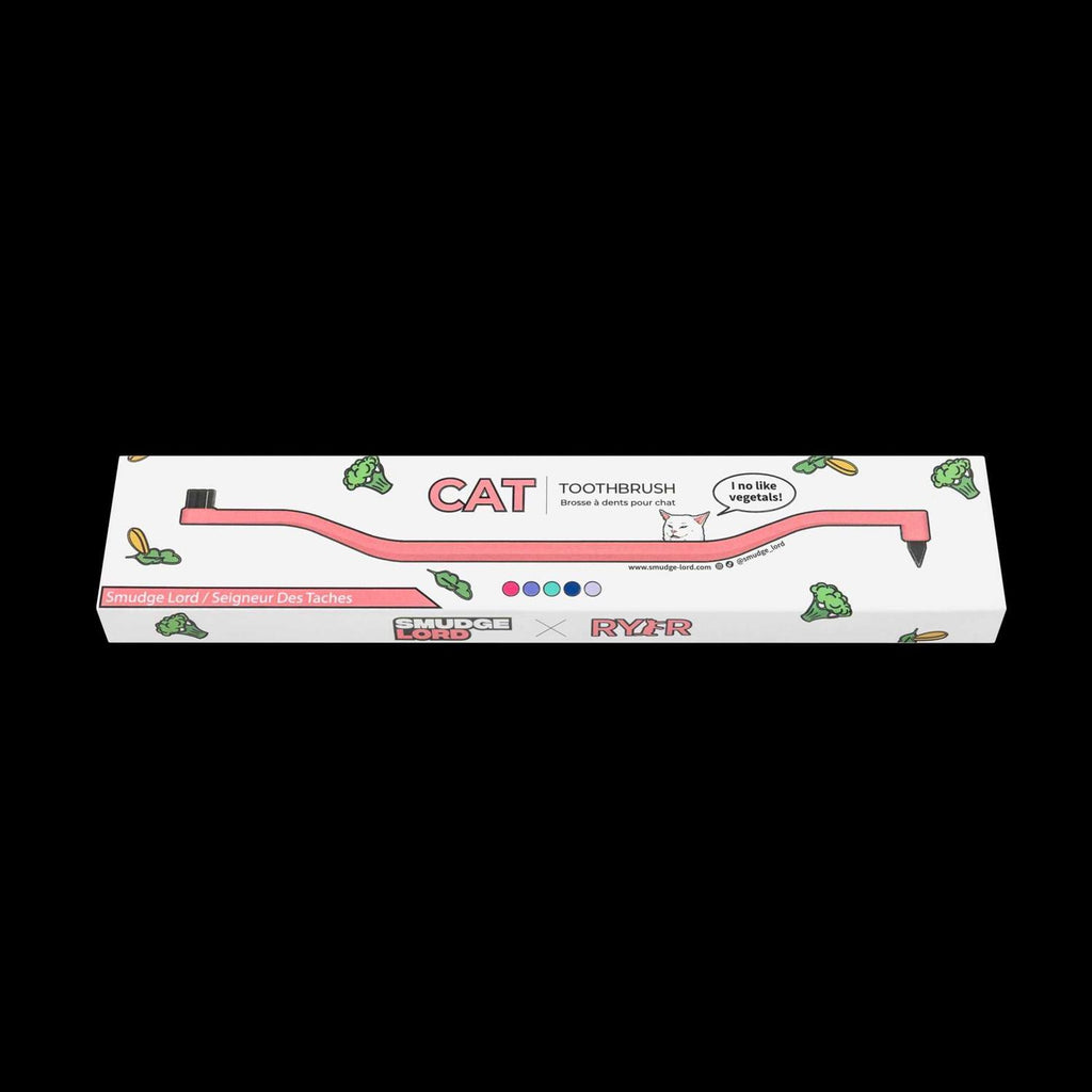 Dual Sided Cat Toothbrush X903957