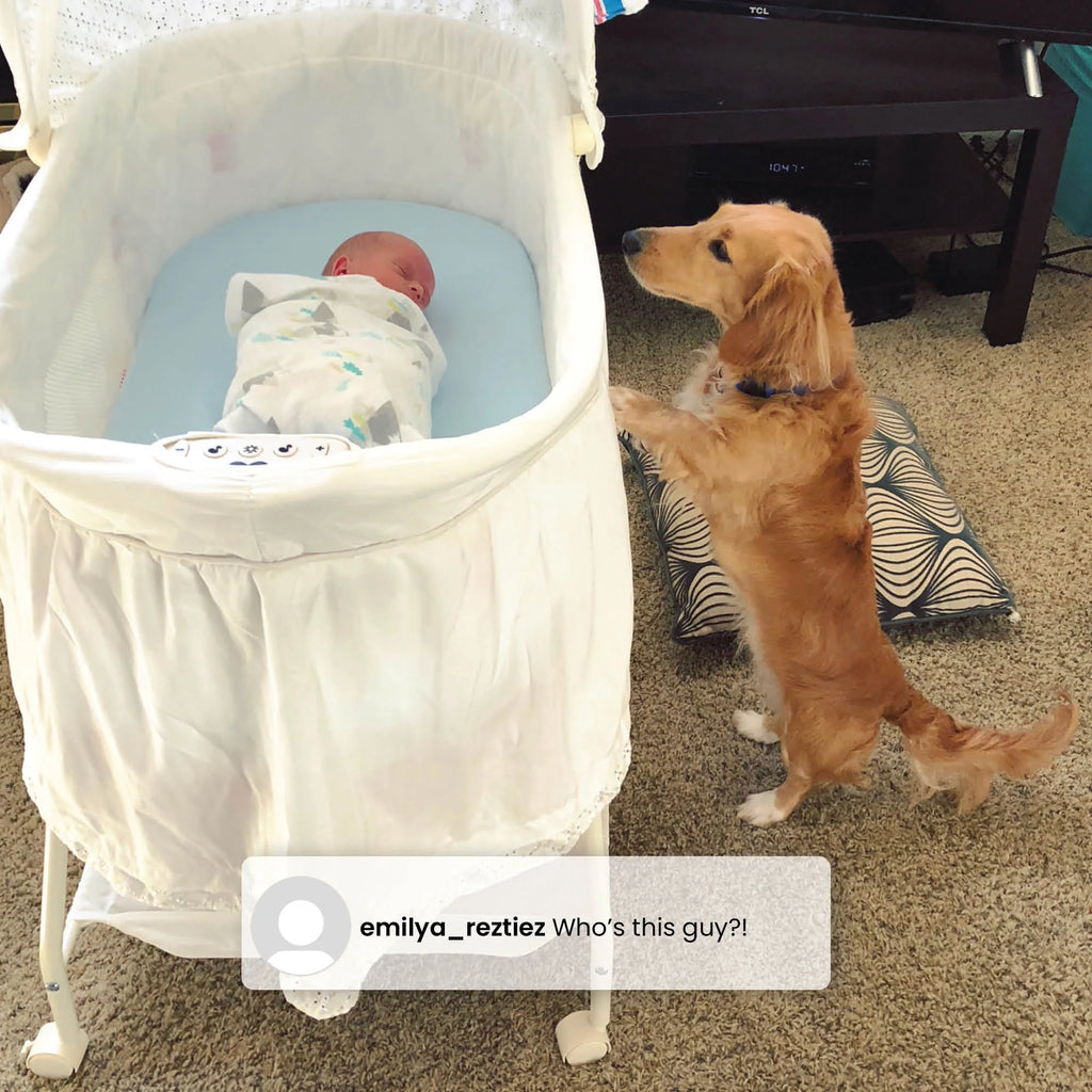 Bassinet S41407
