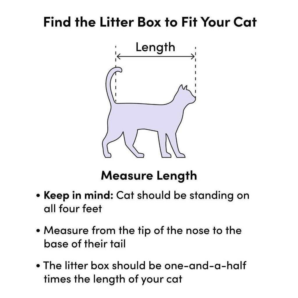 Litter Pan F28498