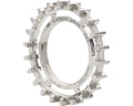 Rohloff- 22T Carbon Drive Rear Cog Z32557